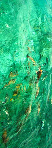 То рыбы в водах Красного моря, развернутые на 90 град. (40kb)